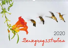 Zeidler |  Bewegungsstudien (Wandkalender 2020 DIN A3 quer) | Sonstiges |  Sack Fachmedien