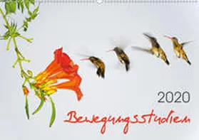Zeidler |  Bewegungsstudien (Wandkalender 2020 DIN A2 quer) | Sonstiges |  Sack Fachmedien