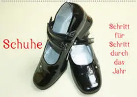 Kapp |  Schuhe - Schritt für Schritt durch das Jahr (Wandkalender 2020 DIN A2 quer) | Sonstiges |  Sack Fachmedien