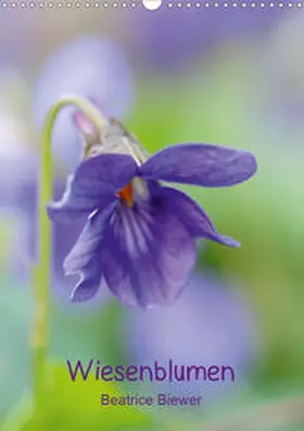 Biewer | Wiesenblumen (Wandkalender 2020 DIN A3 hoch) | Sonstiges | 978-3-670-61499-9 | www.sack.de