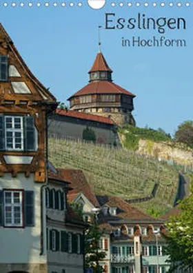 Weber |  Esslingen in Hochform (Wandkalender 2020 DIN A4 hoch) | Sonstiges |  Sack Fachmedien