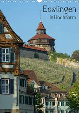 Weber | Esslingen in Hochform (Wandkalender 2020 DIN A3 hoch) | Sonstiges | 978-3-670-61780-8 | www.sack.de