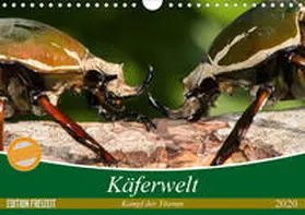 Hilger |  Käferwelt - Kampf der Titanen (Wandkalender 2020 DIN A4 quer) | Sonstiges |  Sack Fachmedien