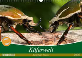Hilger |  Käferwelt - Kampf der Titanen (Wandkalender 2020 DIN A3 quer) | Sonstiges |  Sack Fachmedien
