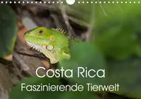 Gerber |  Costa Rica. Faszinierende Tierwelt (Wandkalender 2020 DIN A4 quer) | Sonstiges |  Sack Fachmedien