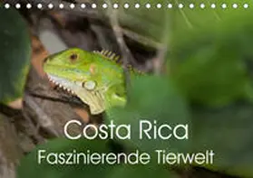 Gerber |  Costa Rica. Faszinierende Tierwelt (Tischkalender 2020 DIN A5 quer) | Sonstiges |  Sack Fachmedien