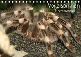 Mielewczyk |  Vogelspinnen (Theraphosidae)CH-Version  (Tischkalender 2020 DIN A5 quer) | Sonstiges |  Sack Fachmedien