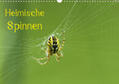 Schäfer |  Heimische Spinnen (Wandkalender 2020 DIN A3 quer) | Sonstiges |  Sack Fachmedien