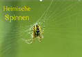 Schäfer |  Heimische Spinnen (Wandkalender 2020 DIN A2 quer) | Sonstiges |  Sack Fachmedien