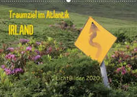 Weber |  IRLAND Traumziel im Atlantik (Wandkalender 2020 DIN A2 quer) | Sonstiges |  Sack Fachmedien