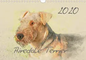 Redecker |  Airedale Terrier 2020 (Wandkalender 2020 DIN A4 quer) | Sonstiges |  Sack Fachmedien