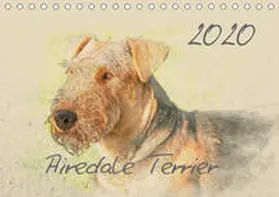 Redecker |  Airedale Terrier 2020 (Tischkalender 2020 DIN A5 quer) | Sonstiges |  Sack Fachmedien