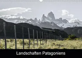 Brunner |  Landschaften PatagoniensAT-Version  (Wandkalender 2020 DIN A3 quer) | Sonstiges |  Sack Fachmedien