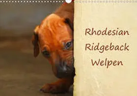 Wyk |  Rhodesian Ridgeback Welpen (Wandkalender 2020 DIN A3 quer) | Sonstiges |  Sack Fachmedien