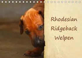 Wyk | Rhodesian Ridgeback Welpen (Tischkalender 2020 DIN A5 quer) | Sonstiges | 978-3-670-63213-9 | www.sack.de