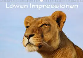 Wyk | Löwen Impressionen (Wandkalender 2020 DIN A3 quer) | Sonstiges | 978-3-670-63236-8 | www.sack.de