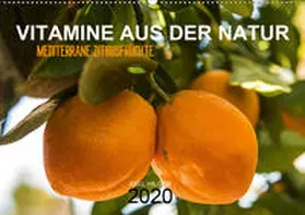 Hilger |  VITAMINE AUS DER NATUR (Wandkalender 2020 DIN A2 quer) | Sonstiges |  Sack Fachmedien