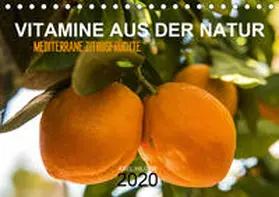 Hilger |  VITAMINE AUS DER NATUR (Tischkalender 2020 DIN A5 quer) | Sonstiges |  Sack Fachmedien