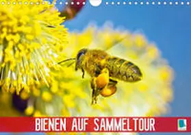 Calvendo / CALVENDO |  Bienen auf Sammeltour (Wandkalender 2020 DIN A4 quer) | Sonstiges |  Sack Fachmedien