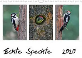 Wolf | Echte Spechte (Wandkalender 2020 DIN A4 quer) | Sonstiges | 978-3-670-63822-3 | www.sack.de