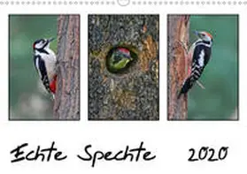Wolf | Echte Spechte (Wandkalender 2020 DIN A3 quer) | Sonstiges | 978-3-670-63823-0 | www.sack.de
