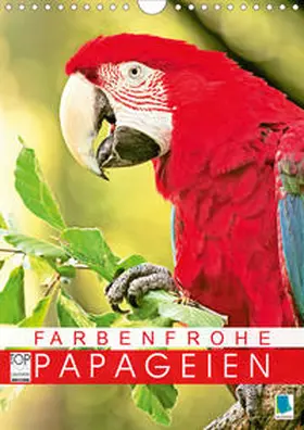 Calvendo / CALVENDO |  Farbenfrohe Papageien (Wandkalender 2020 DIN A4 hoch) | Sonstiges |  Sack Fachmedien