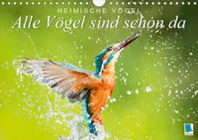 Calvendo / CALVENDO |  Alle Vögel sind schon da: Heimische Vögel (Wandkalender 2020 DIN A4 quer) | Sonstiges |  Sack Fachmedien