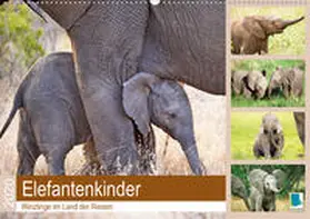 Calvendo / CALVENDO |  Elefantenkinder: Winzlinge im Land der Riesen (Wandkalender 2020 DIN A2 quer) | Sonstiges |  Sack Fachmedien