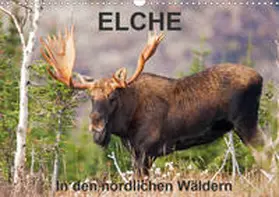 Henry |  ELCHE In den nördlichen Wäldern (Wandkalender 2020 DIN A3 quer) | Sonstiges |  Sack Fachmedien