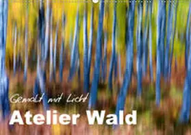 Böhme | Atelier Wald - gemalt mit Licht (Wandkalender 2020 DIN A2 quer) | Sonstiges | 978-3-670-64475-0 | www.sack.de