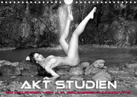 R. Bruengger-Radakovits |  Akt Studien (Wandkalender 2020 DIN A4 quer) | Sonstiges |  Sack Fachmedien