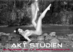R. Bruengger-Radakovits |  Akt Studien (Wandkalender 2020 DIN A2 quer) | Sonstiges |  Sack Fachmedien