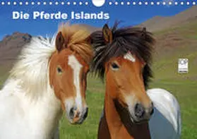 Pantke |  Die Pferde Islands (Wandkalender 2020 DIN A4 quer) | Sonstiges |  Sack Fachmedien