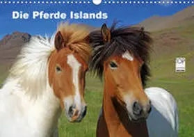 Pantke |  Die Pferde Islands (Wandkalender 2020 DIN A3 quer) | Sonstiges |  Sack Fachmedien