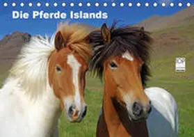 Pantke |  Die Pferde Islands (Tischkalender 2020 DIN A5 quer) | Sonstiges |  Sack Fachmedien