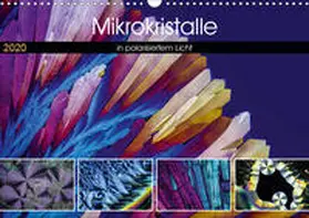 Becker |  Mikrokristalle in polarisiertem Licht (Wandkalender 2020 DIN A3 quer) | Sonstiges |  Sack Fachmedien