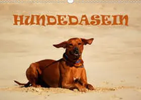 Wyk |  HundedaseinAT-Version  (Wandkalender 2020 DIN A3 quer) | Sonstiges |  Sack Fachmedien