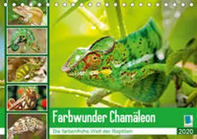 Calvendo / CALVENDO |  Farbwunder Chamäleon (Tischkalender 2020 DIN A5 quer) | Sonstiges |  Sack Fachmedien