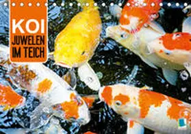 Calvendo / CALVENDO |  Koi: Juwelen im Teich (Tischkalender 2020 DIN A5 quer) | Sonstiges |  Sack Fachmedien