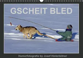 Hinterleitner | GSCHEIT BLED - Humorfotografie (Wandkalender 2020 DIN A3 quer) | Sonstiges | 978-3-670-64994-6 | www.sack.de