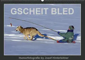 Hinterleitner |  GSCHEIT BLED - Humorfotografie (Wandkalender 2020 DIN A2 quer) | Sonstiges |  Sack Fachmedien
