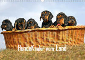 Müller | Hundekinder vom Land (Wandkalender 2020 DIN A3 quer) | Sonstiges | 978-3-670-65059-1 | sack.de