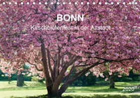 Reif |  Bonn - Kirschblütenfest in der Altstadt (Tischkalender 2020 DIN A5 quer) | Sonstiges |  Sack Fachmedien