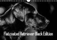 Müller |  Flatcoated Retriever Black Edition (Wandkalender 2020 DIN A4 quer) | Sonstiges |  Sack Fachmedien