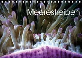 Weiß |  Meerestreiben (Tischkalender 2020 DIN A5 quer) | Sonstiges |  Sack Fachmedien