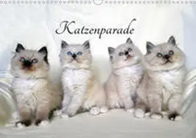 Chrystal |  Katzenparade (Wandkalender 2020 DIN A3 quer) | Sonstiges |  Sack Fachmedien