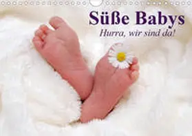 Stanzer |  Süße Babys. Hurra, wir sind da! (Wandkalender 2020 DIN A4 quer) | Sonstiges |  Sack Fachmedien