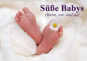 Stanzer |  Süße Babys. Hurra, wir sind da! (Wandkalender 2020 DIN A3 quer) | Sonstiges |  Sack Fachmedien