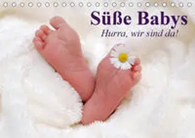 Stanzer |  Süße Babys. Hurra, wir sind da! (Tischkalender 2020 DIN A5 quer) | Sonstiges |  Sack Fachmedien