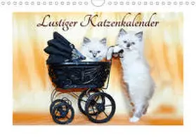 Chrystal | Lustiger Katzenkalender (Wandkalender 2020 DIN A4 quer) | Sonstiges | 978-3-670-66339-3 | www.sack.de